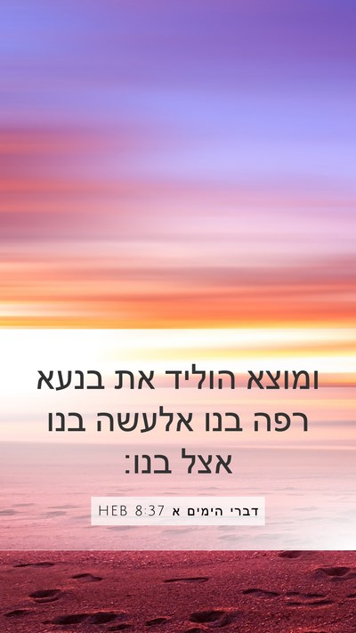 דברי הימים א 8:37 HEB Bible Verse Image