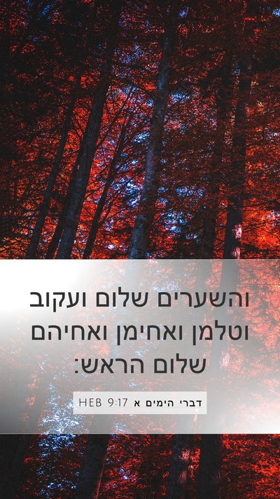 דברי הימים א 9:17 HEB Bible Verse Image
