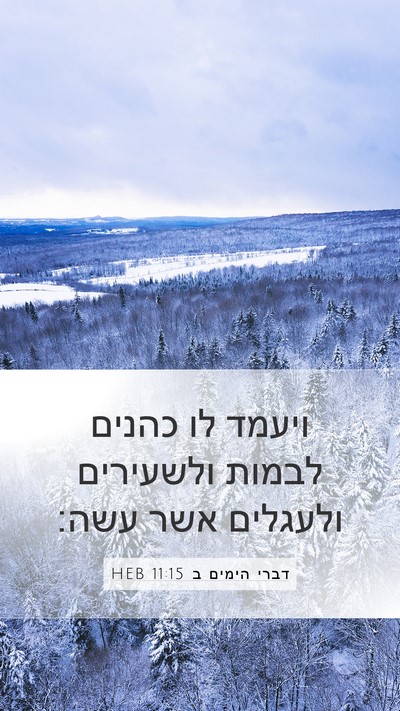 דברי הימים ב 11:15 HEB Bible Verse Image