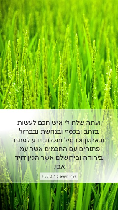 דברי הימים ב 2:7 HEB Bible Verse Image