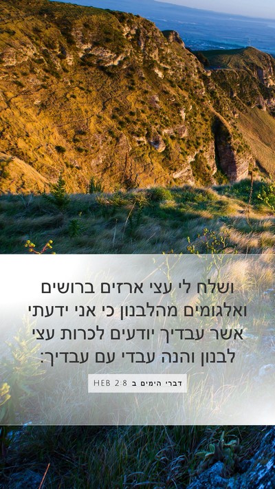 דברי הימים ב 2:8 HEB Bible Verse Image