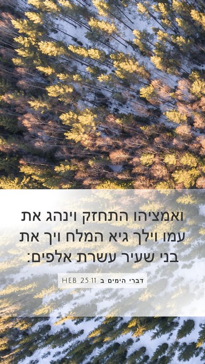 דברי הימים ב 25:11 HEB Bible Verse Image