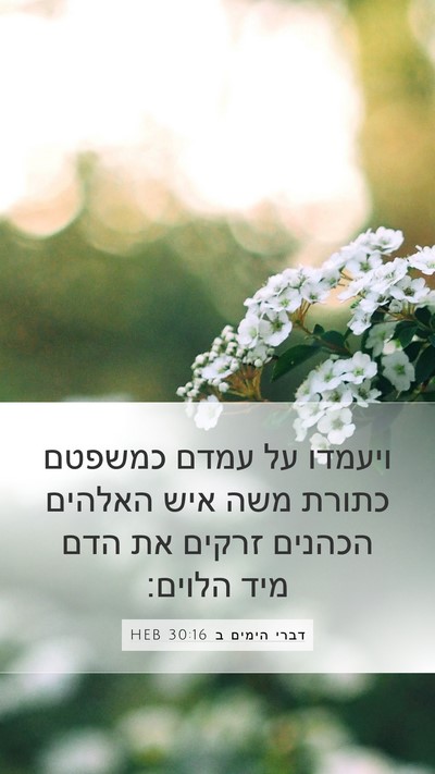 דברי הימים ב 30:16 HEB Bible Verse Image