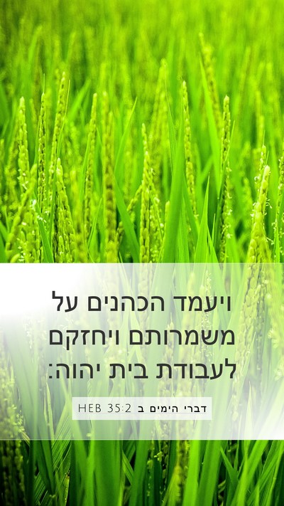 דברי הימים ב 35:2 HEB Bible Verse Image