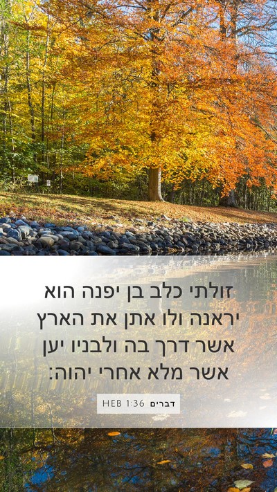 דברים 1:36 HEB Bible Verse Image