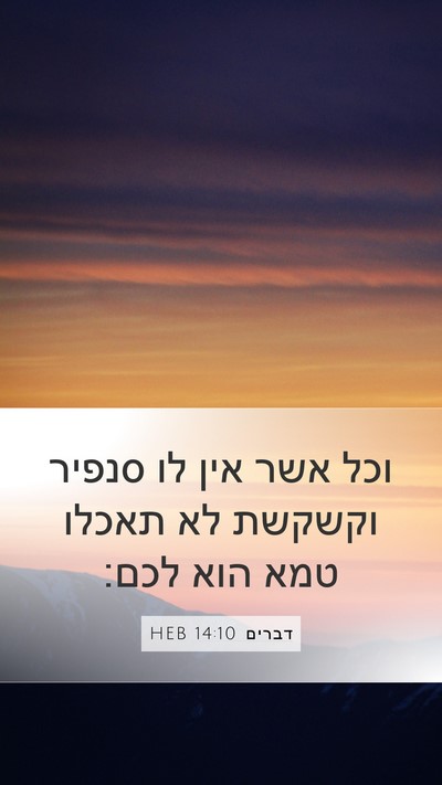 דברים 14:10 HEB Mobile Phone Wallpaper - וכל אשר אין לו סנפיר וקשקשת - Mobile Bible Verse Wallpaper