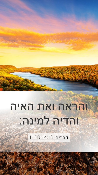 דברים 14:13 HEB Bible Verse Image