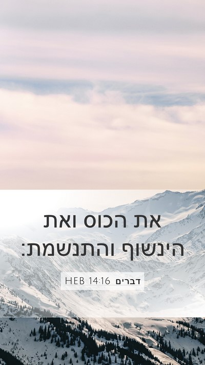 דברים 14:16 HEB Mobile Phone Wallpaper - את הכוס ואת הינשוף - Mobile Bible Verse Wallpaper