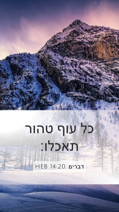 דברים 14:20 HEB Mobile Phone Wallpaper - כל עוף טהור - Mobile Bible Verse Wallpaper