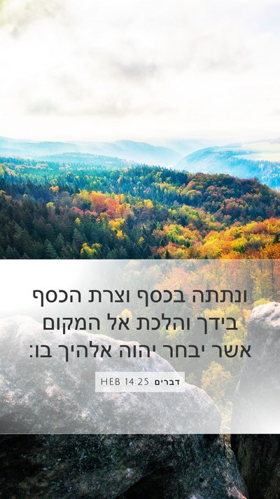 דברים 14:25 HEB Bible Verse Image