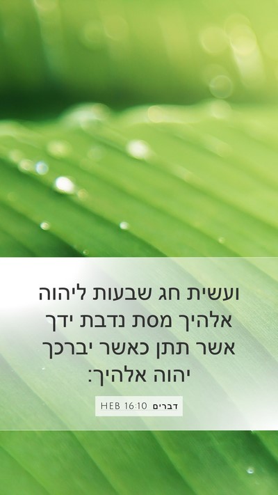דברים 16:10 HEB Bible Verse Image