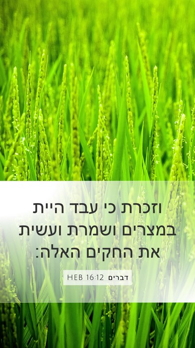 דברים 16:12 HEB Bible Verse Image