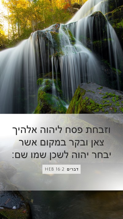 דברים 16:2 HEB Bible Verse Image