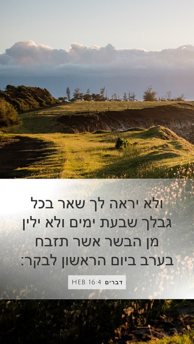 דברים 16:4 HEB Bible Verse Image