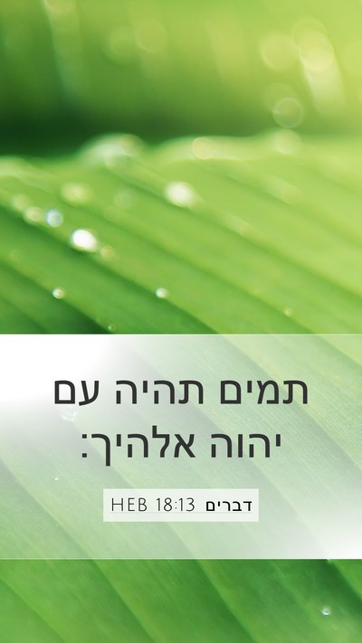 דברים 18:13 HEB Bible Verse Image