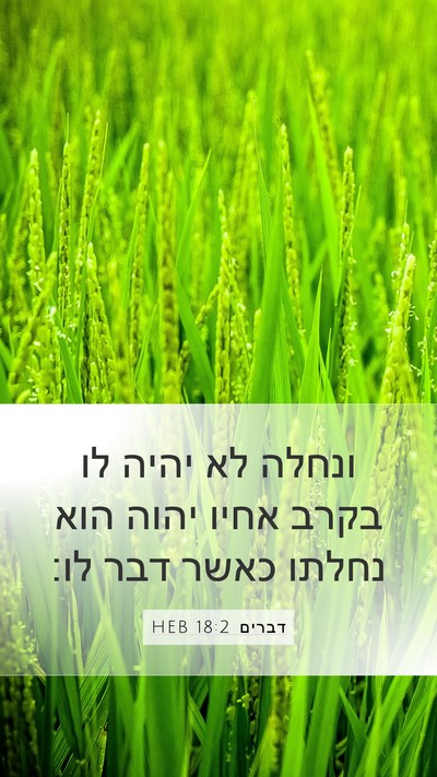 דברים 18:2 HEB Mobile Phone Wallpaper - ונחלה לא יהיה לו בקרב אחיו - Mobile Bible Verse Wallpaper