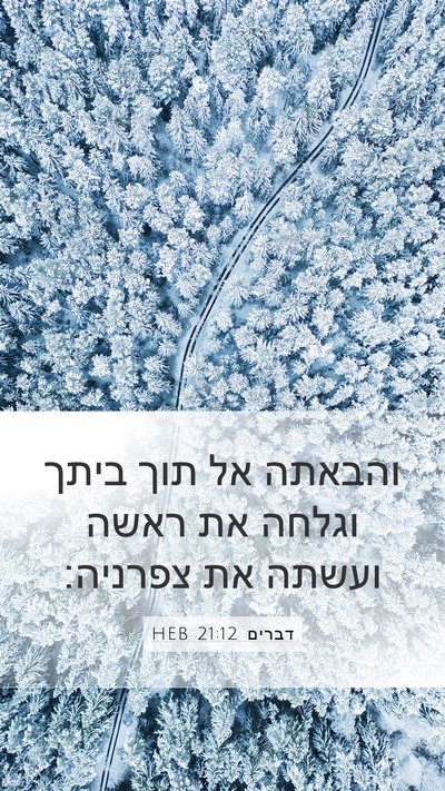 דברים 21:12 HEB Bible Verse Image