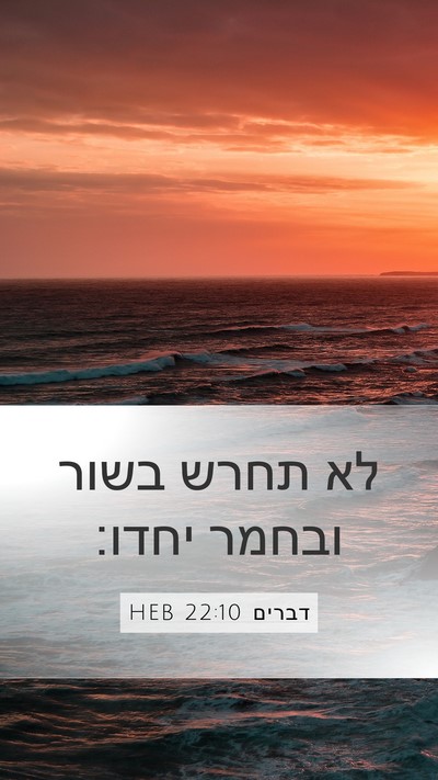 דברים 22:10 HEB Mobile Phone Wallpaper - לא תחרש בשור ובחמר - Mobile Bible Verse Wallpaper