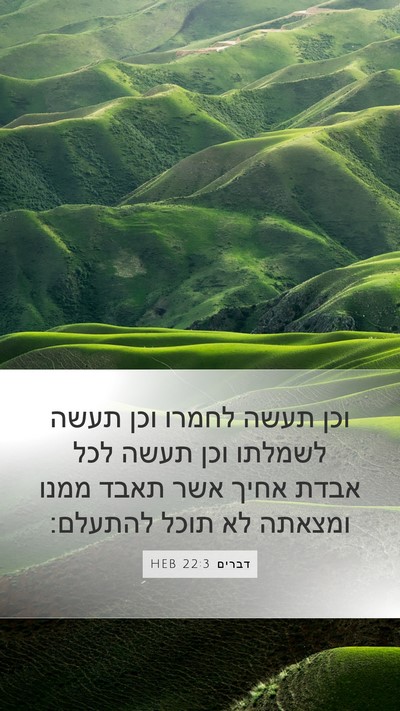 דברים 22:3 HEB Bible Verse Image