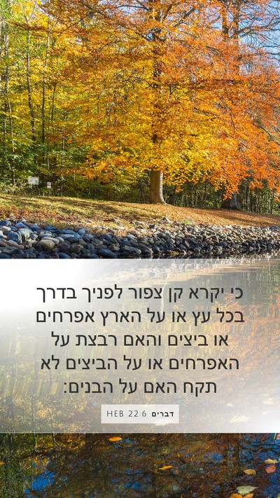 דברים 22:6 HEB Bible Verse Image