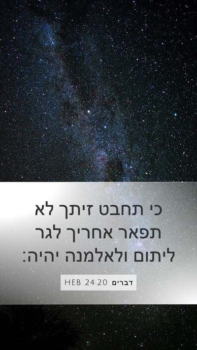 דברים 24:20 HEB Mobile Phone Wallpaper - כי תחבט זיתך לא תפאר אחריך - Mobile Bible Verse Wallpaper