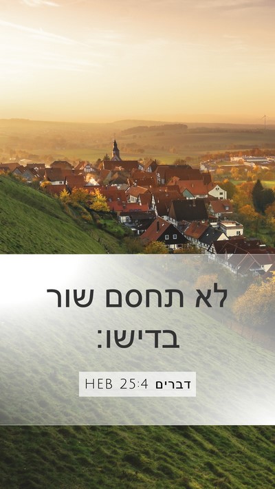 דברים 25:4 HEB Bible Verse Image