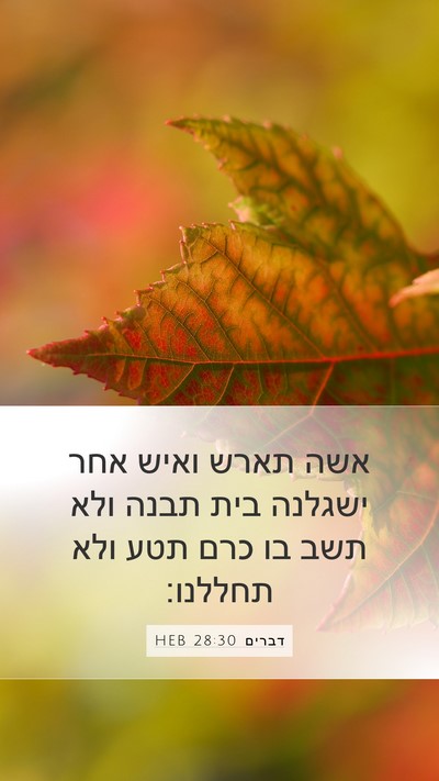 דברים 28:30 HEB Bible Verse Image