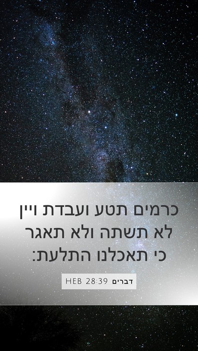 דברים 28:39 HEB Bible Verse Image