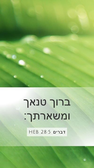 דברים 28:5 HEB Mobile Phone Wallpaper - ברוך טנאך - Mobile Bible Verse Wallpaper
