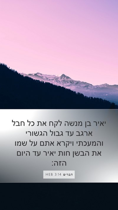 דברים 3:14 HEB Bible Verse Image