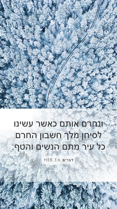 דברים 3:6 HEB Bible Verse Image