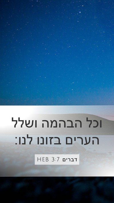 דברים 3:7 HEB Mobile Phone Wallpaper - וכל הבהמה ושלל הערים בזונו - Mobile Bible Verse Wallpaper