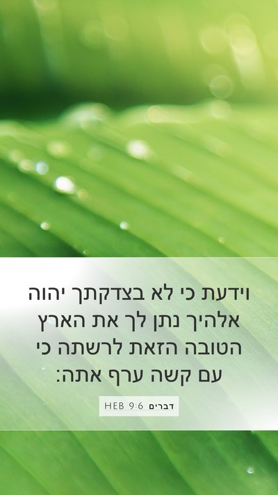 דברים 9:6 HEB Bible Verse Image