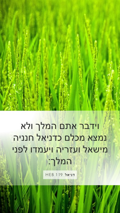 דניאל 1:19 HEB Bible Verse Image
