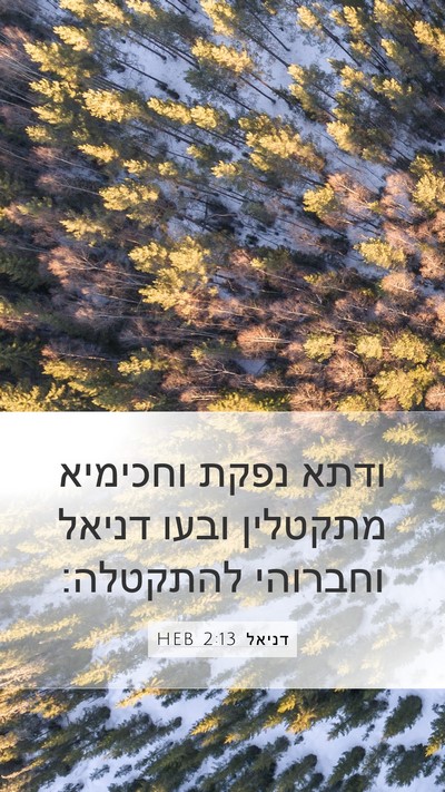 דניאל 2:13 HEB Bible Verse Image
