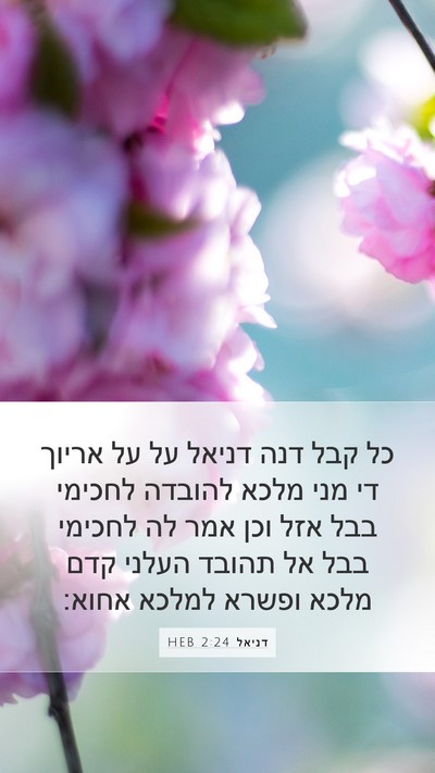 דניאל 2:24 HEB Mobile Phone Wallpaper - כל קבל דנה דניאל על על - Mobile Bible Verse Wallpaper