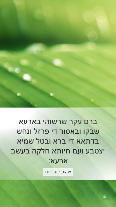 דניאל 4:15 HEB Mobile Phone Wallpaper - ברם עקר שרשוהי בארעא שבקו - Mobile Bible Verse Wallpaper