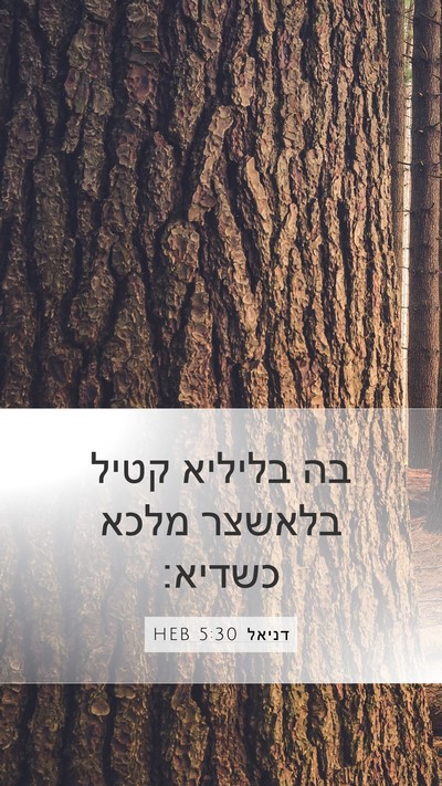 דניאל 5:30 HEB Bible Verse Image