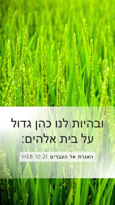 האגרת אל העברים 10:21 HEB Bible Verse Image