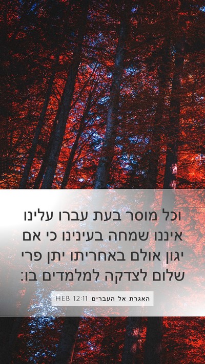 האגרת אל העברים 12:11 HEB Bible Verse Image