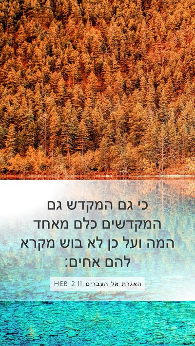 האגרת אל העברים 2:11 HEB Bible Verse Image
