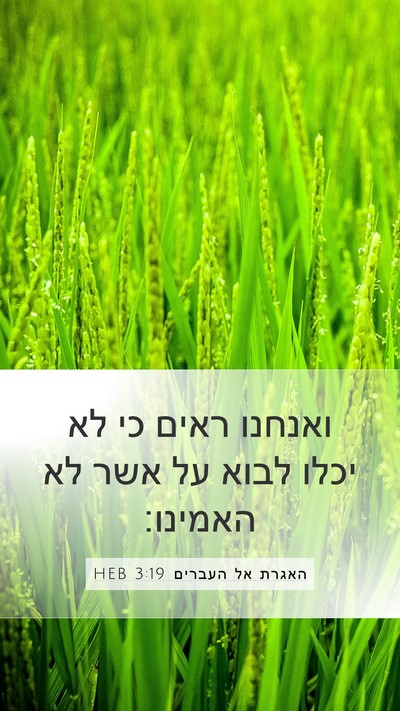 האגרת אל העברים 3:19 HEB Bible Verse Image