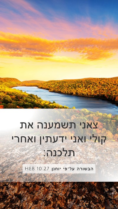 הבשורה על־פי יוחנן 10:27 HEB Bible Verse Image