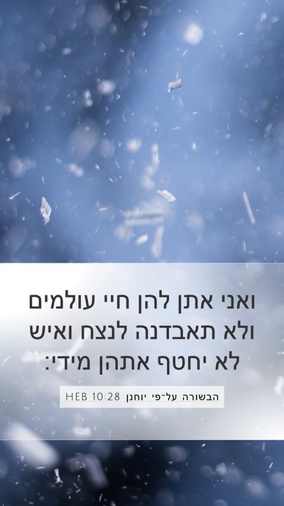 הבשורה על־פי יוחנן 10:28 HEB Bible Verse Image