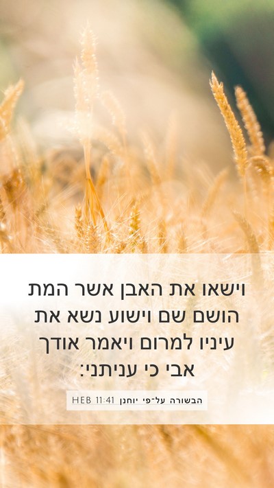 הבשורה על־פי יוחנן 11:41 HEB Bible Verse Image