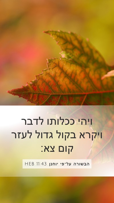 הבשורה על־פי יוחנן 11:43 HEB Bible Verse Image