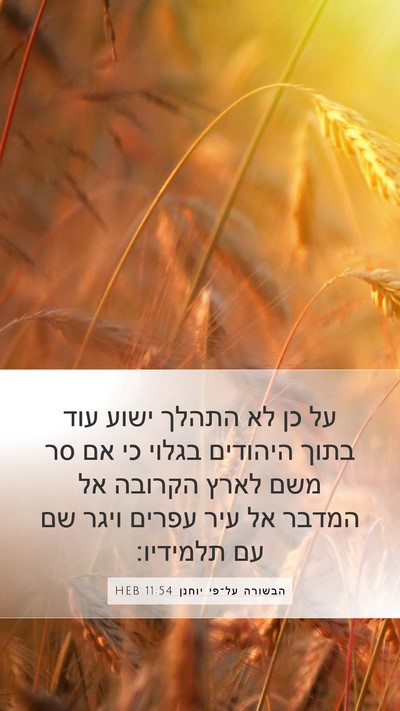 הבשורה על־פי יוחנן 11:54 HEB Bible Verse Image
