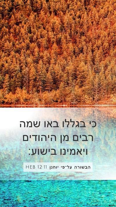 הבשורה על־פי יוחנן 12:11 HEB Mobile Phone Wallpaper - כי בגללו באו שמה רבים מן - Mobile Bible Verse Wallpaper