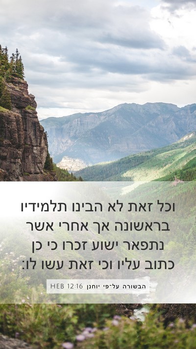 הבשורה על־פי יוחנן 12:16 HEB Bible Verse Image