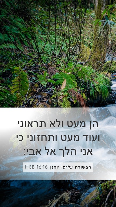 הבשורה על־פי יוחנן 16:16 HEB Bible Verse Image